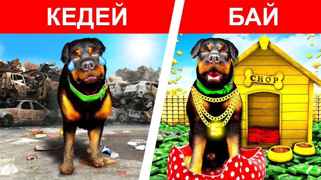 ЧОП КЕДЕЙДЕН БАЙҒА АЙНАЛДЫ (GTA V) франклин қазақша гта 5