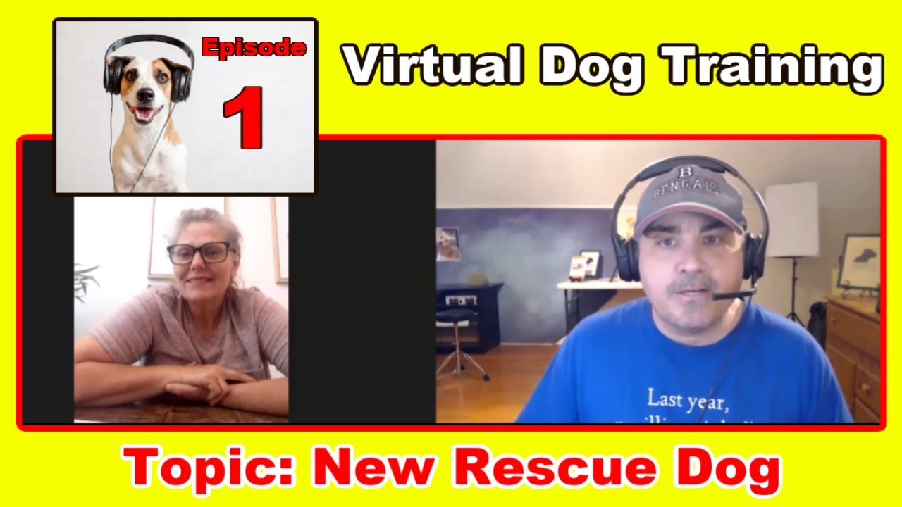 Ep.1 - Virtual Dog Training session. Zoom dog training. New Rescue Dog