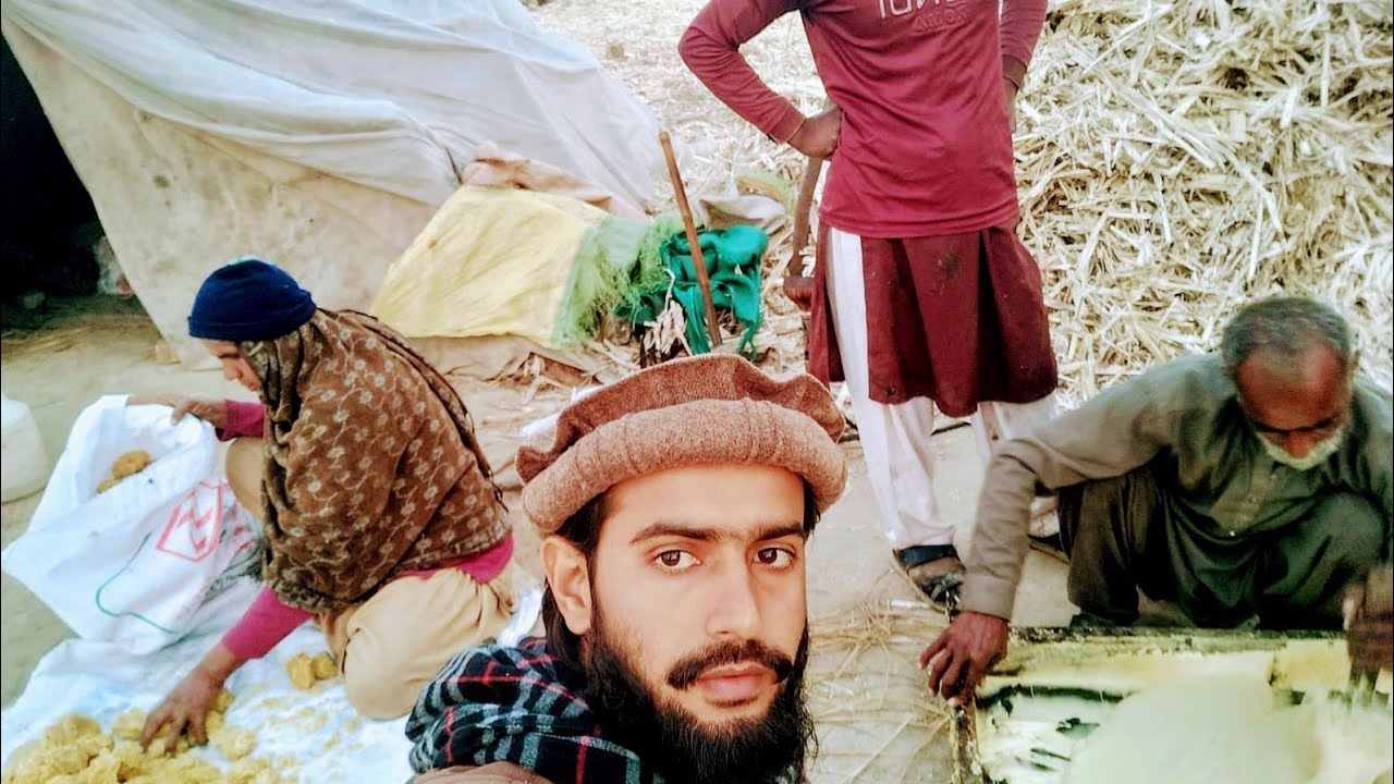 گڑ بنانے کا طریقہ. ہم نے گڑ کی رو پی. کیا کٹوں کو گڑ دے سکتے ہیں. ڈیلی روٹین. فیملی بوگ. پنجابی