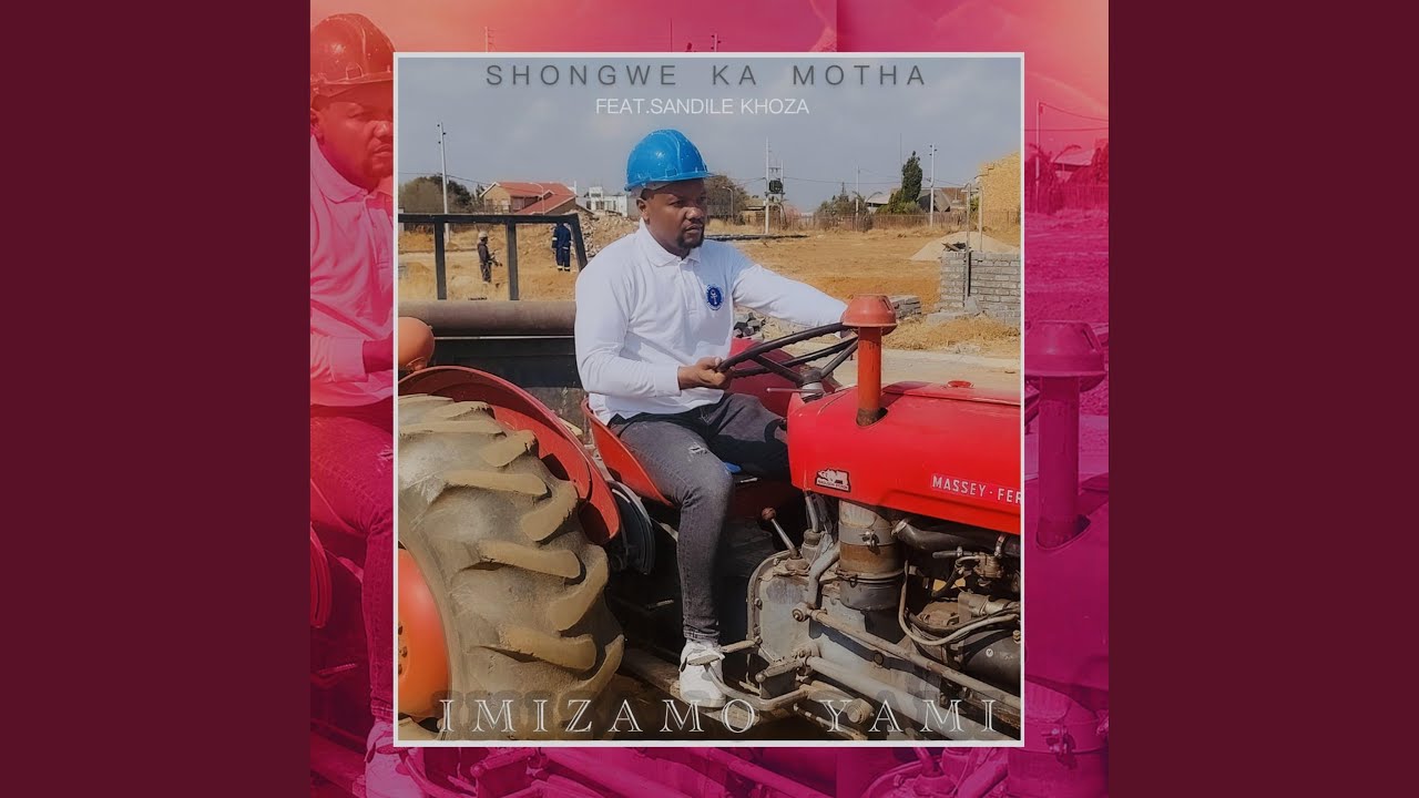 Imizamo yami