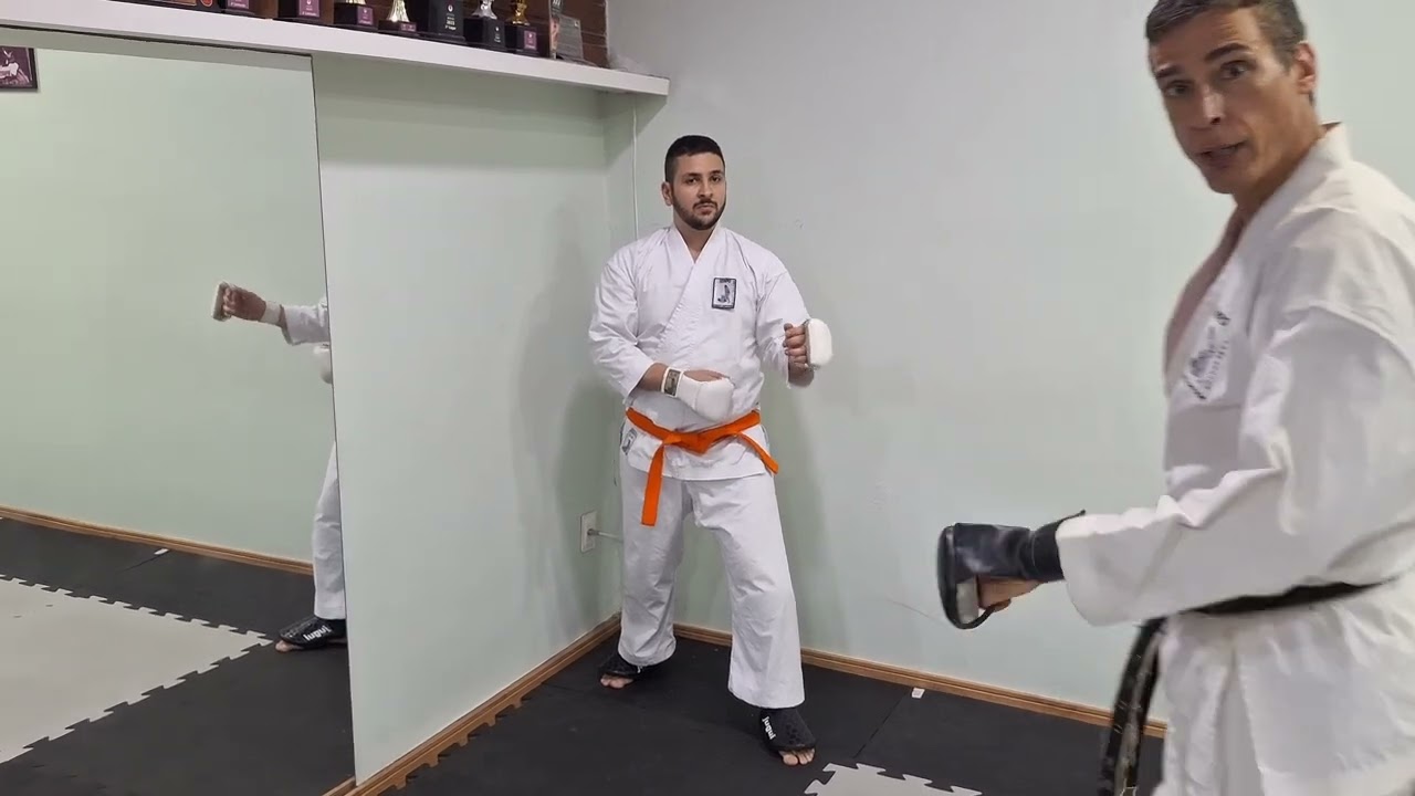 Bloqueios no karate Shotokan