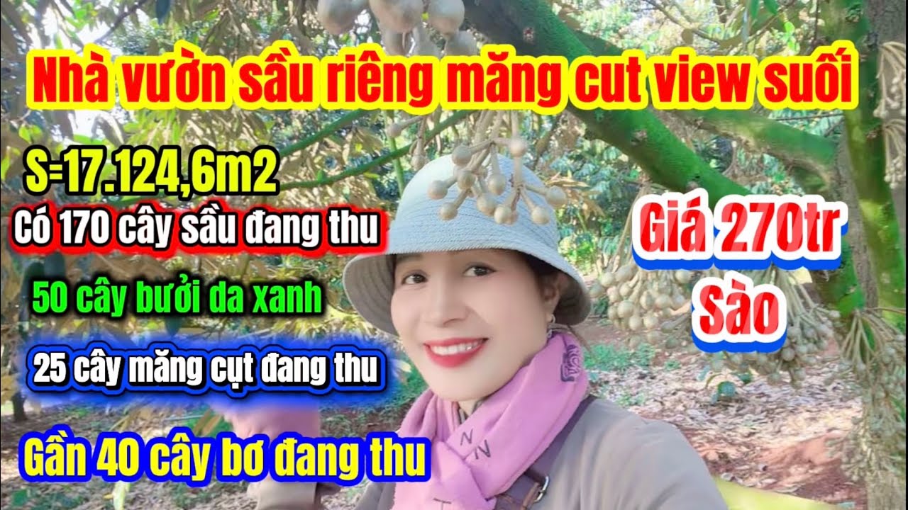 572🌹 nhà vườn sầu riêng măng cục view suối đang thu cách ĐT 756 chỉ 150 thích hợp làm nơi nghỉ dưỡng