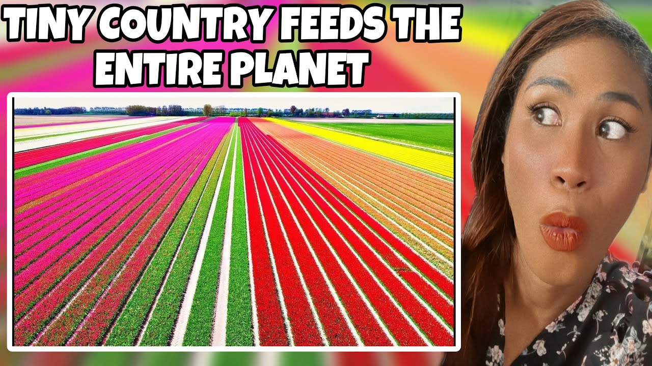 This Tiny Country Feeds The Entire Planet | Reaction