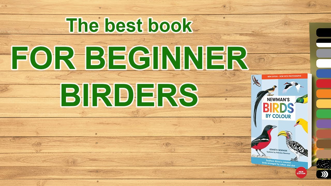 Book review  Newman's Birds by Colour