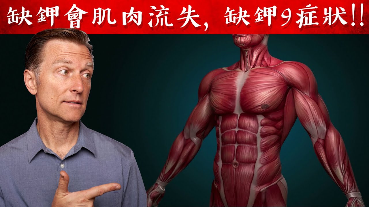 缺鉀會肌肉萎縮,便秘,累積脂肪、缺鉀9症狀,自然療法,柏格醫生 Dr Berg
