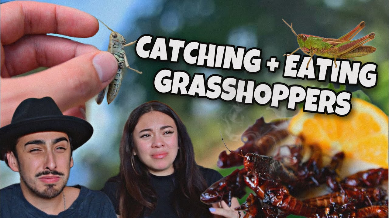 CATCHING AND EATING GRASSHOPPERS! *BEST RECIPE*