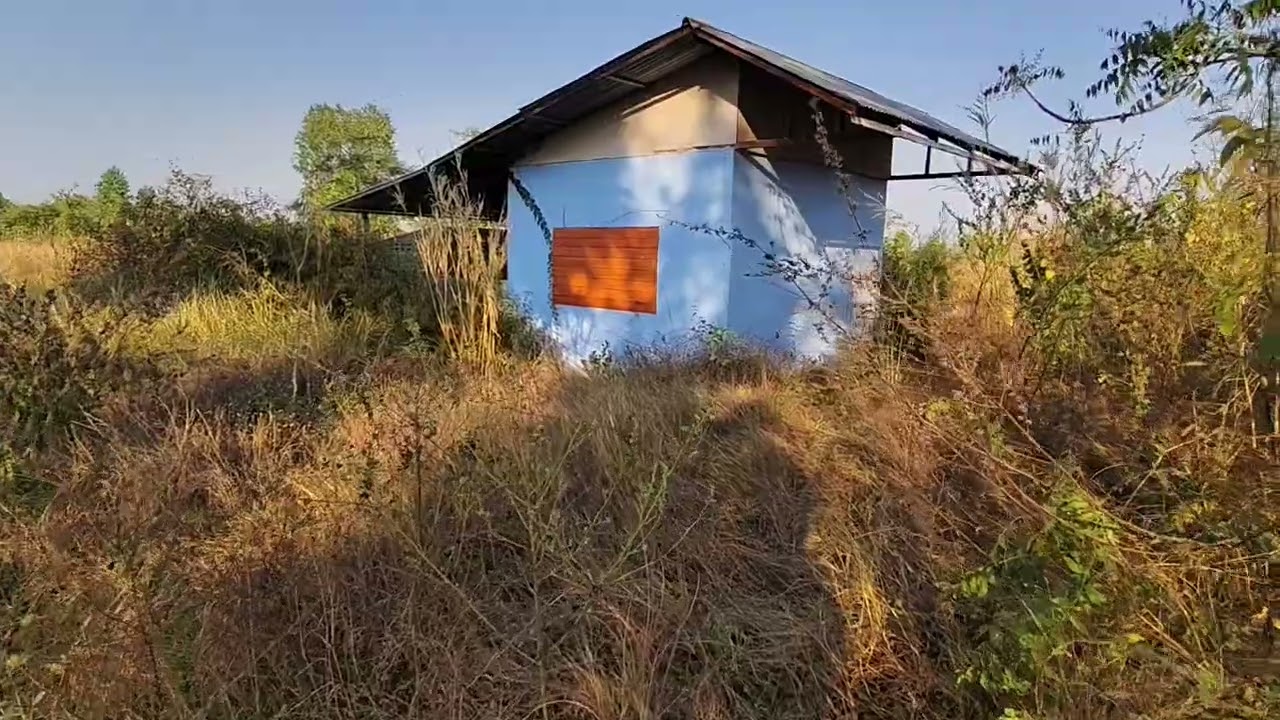 ( ขาย 300,000 บาท ) บ้านสวนพร้อมที่ดิน 1 ไร่ ต. โนนแดง อ. บ้านเขว้า จ. ชัยภูมิ