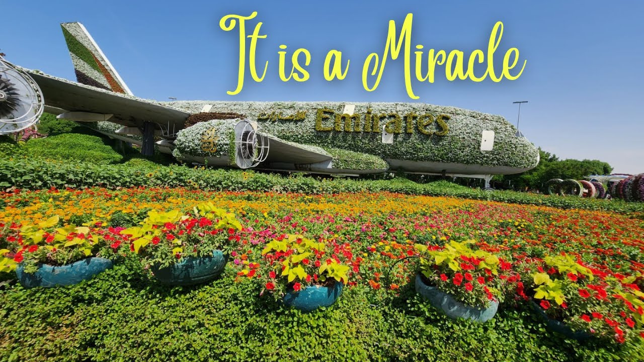 Dubai Miracle Garden , A Magical Floral Paradise in the Desert