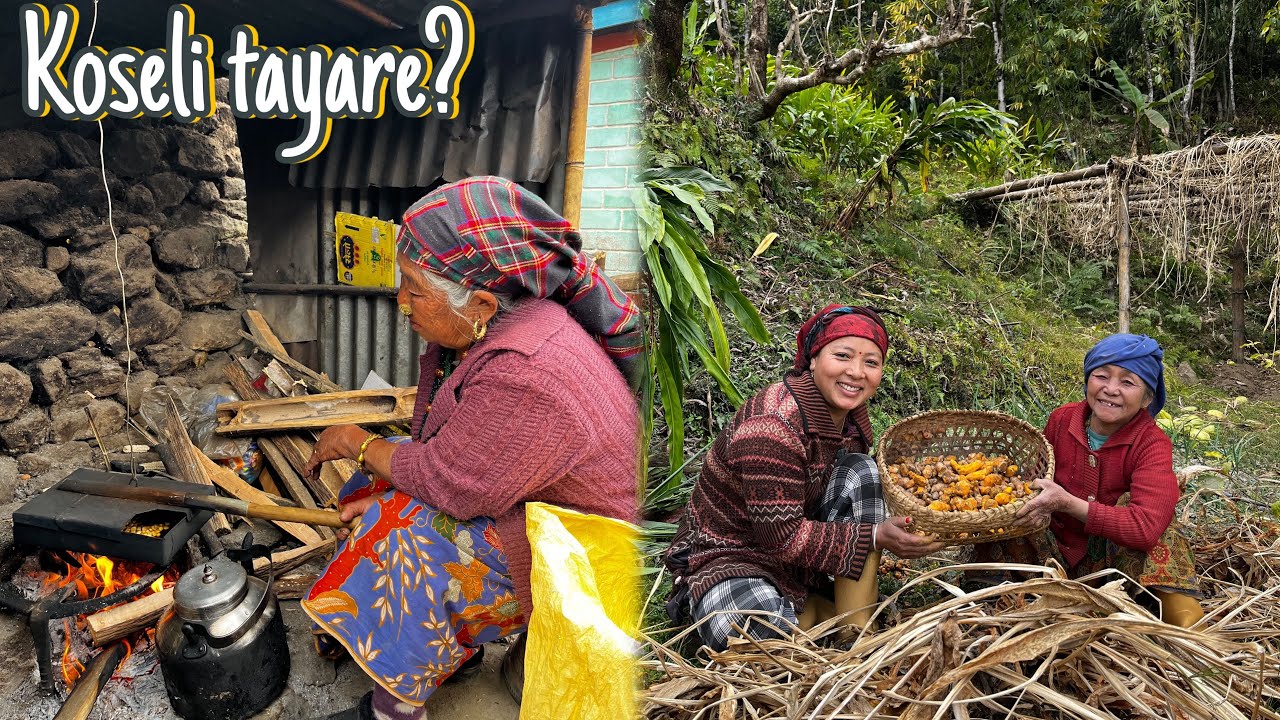 @czzlingroynee NANAKO GHARJANUKO LAGI KOSELI TAYRARI GARDAI HUNUHUNSA||ORGANIC HALDI KELAUDAI||