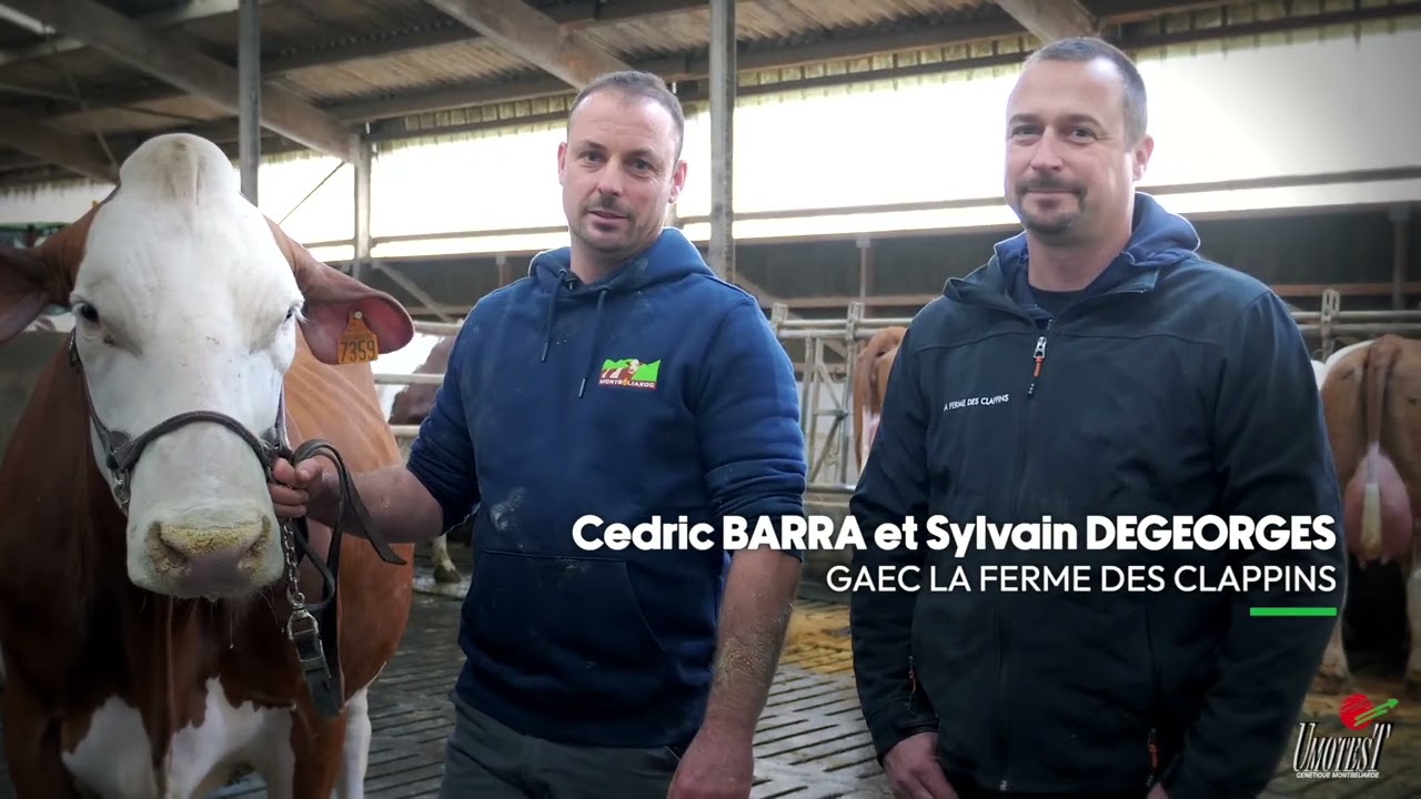 Bienvenue au GAEC LA FERME DES CLAPPINS (74) - Naisseur du taureau VAULXOIS