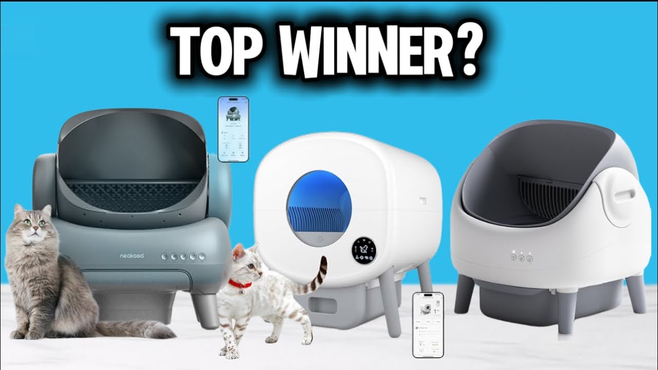 I Found The Best Automatic Cat Litterboxes For 2025