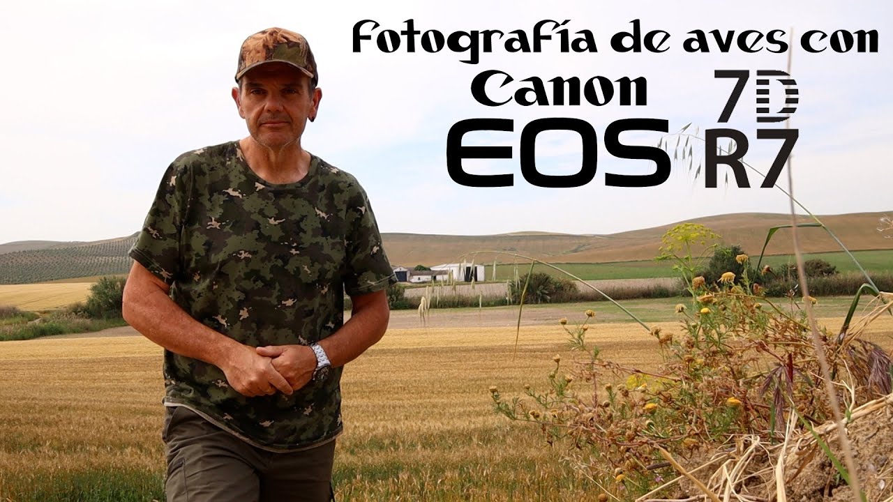 Fotografía de aves con Canon 7D y Canon R7 -  Vemos configuración y demás cosillas. Cap. 23