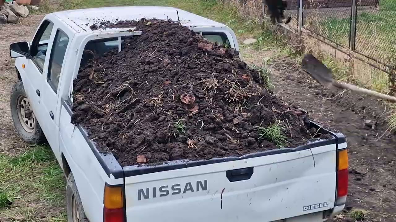 Nissan Navara King Cab D21 Load Test #nissan