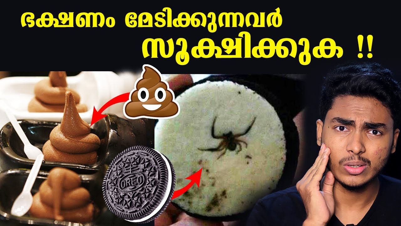 ഓർഡർ ചെയ്തത് ഐസ്ക്രീം - പക്ഷെ കിട്ടിയത്  💩💩💩 | CRAZY THINGS FOUND IN FOOD | MALAYALAM | AFWORLD