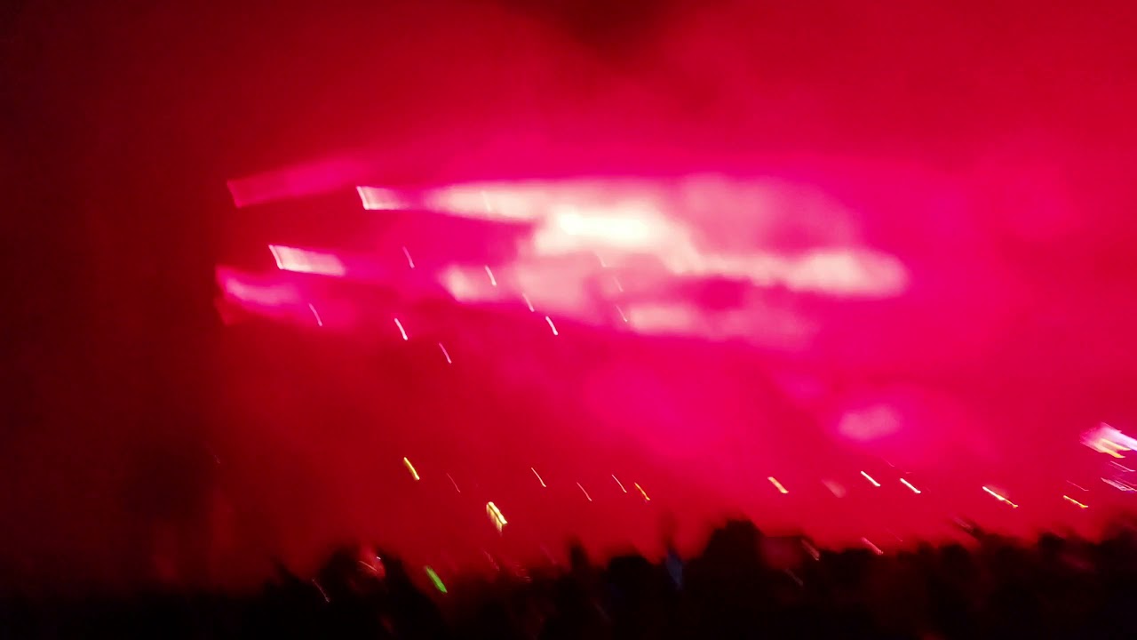Dog Blood (Skrillex & Boys Noize) intro - Day Of The Dead 2019