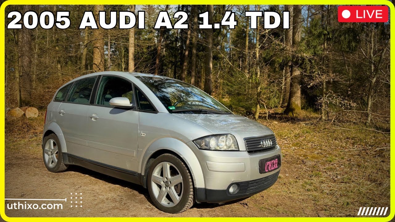 2005 Audi A2 1.4 TDI - Erfahrungen, Kaufberatung, Test, Probleme, Interieur & Exterieur 8Z Alukugel