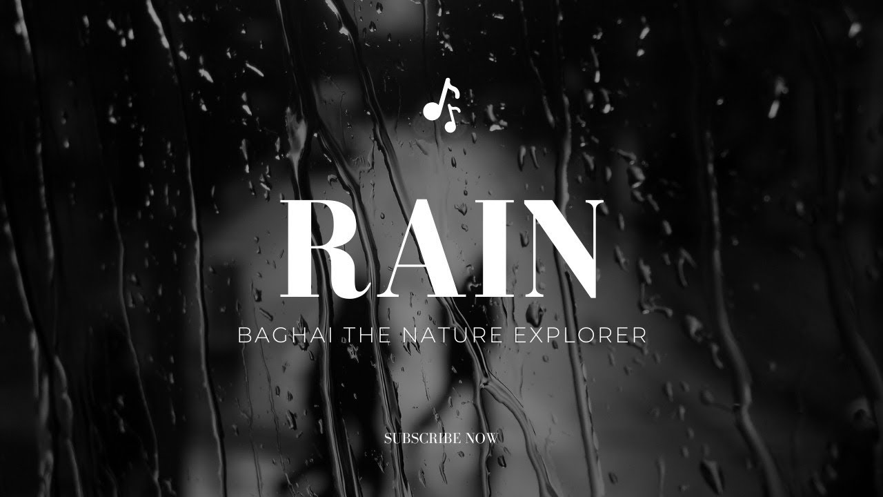 A Rainy Moment