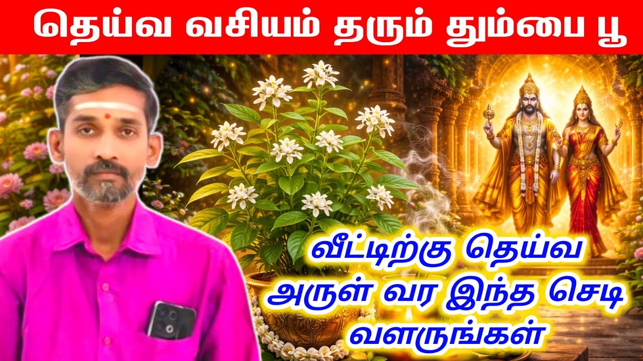 தெய்வ வசியம் தரும் தும்பை பூ | வீட்டிற்கு தெய்வ அருள் வர இந்த செடி வளருங்கள் | deiva vasiyam 