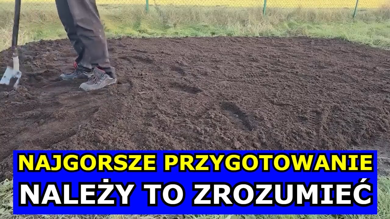 To Najgorsze Przygotowanie Gleby pod Warzywa Czosnek Ogórki Pomidory. Błędy, Jak Przygotować Glebę.