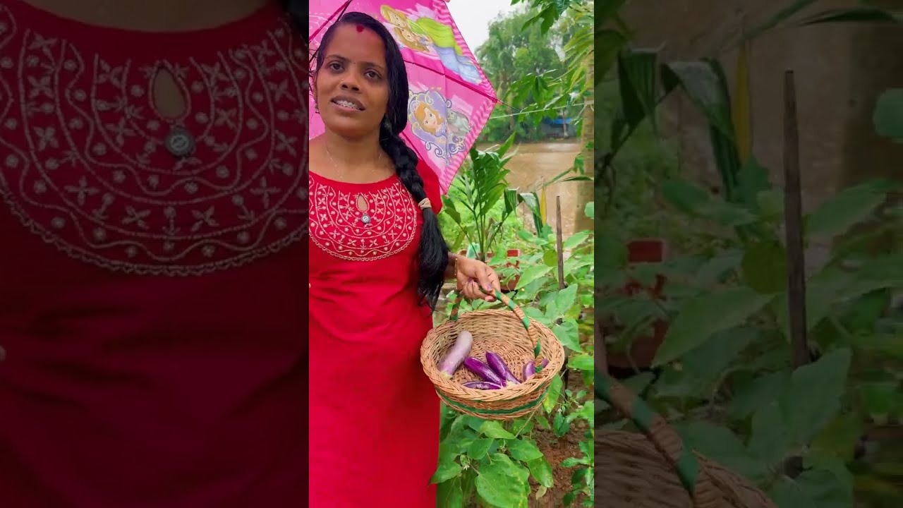 ഇതുപോലൊരു ഐറ്റം നിഗി ആക്കുമെന്ന് കരുതിയില്ല,ഒടുവിൽ ഞാൻ മാപ്പ് പറഞ്ഞു 🥰Brinjal French Fries recipe
