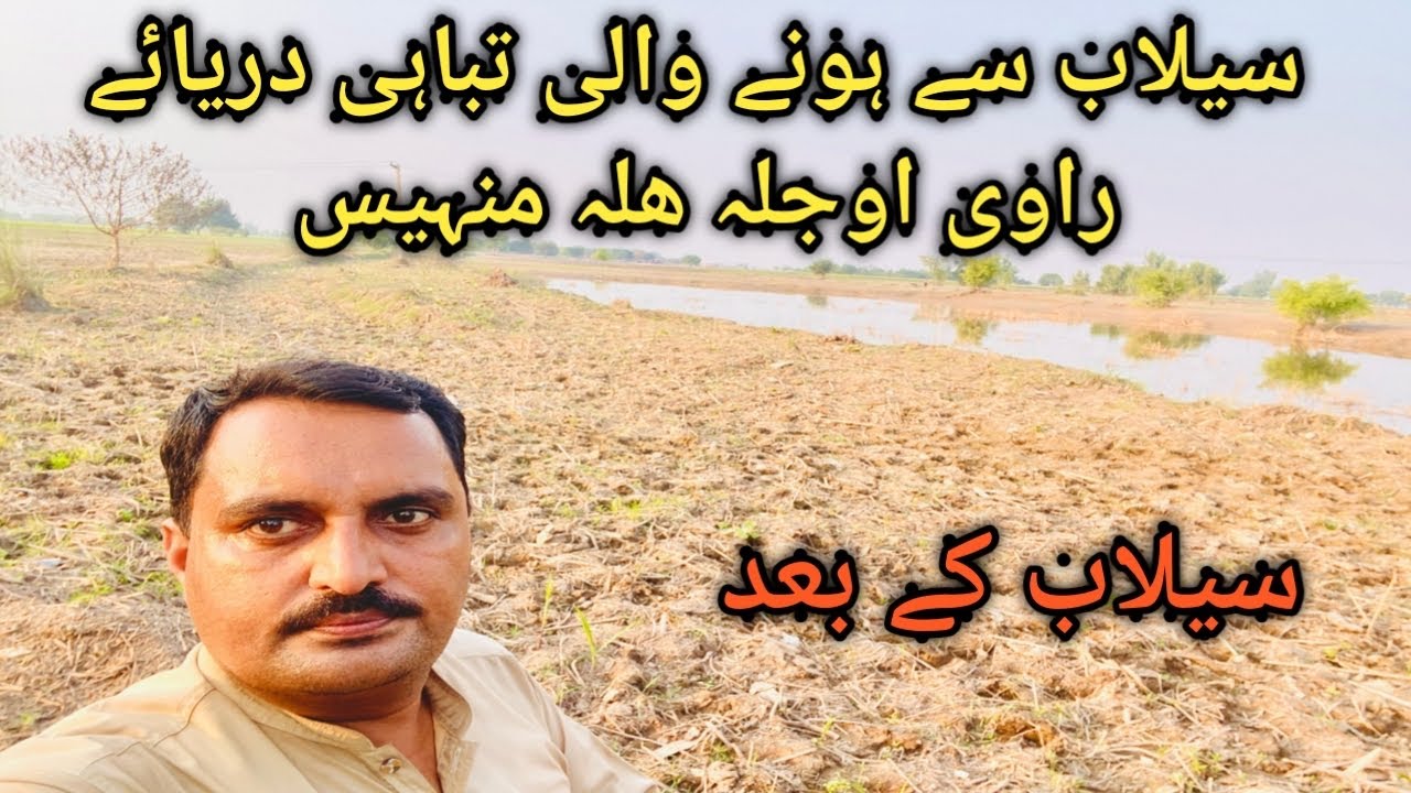 Seilab se hone wali tabahi #daryaeravi#raviriver#ojlagaon#seilabtabahi#hallamanais#