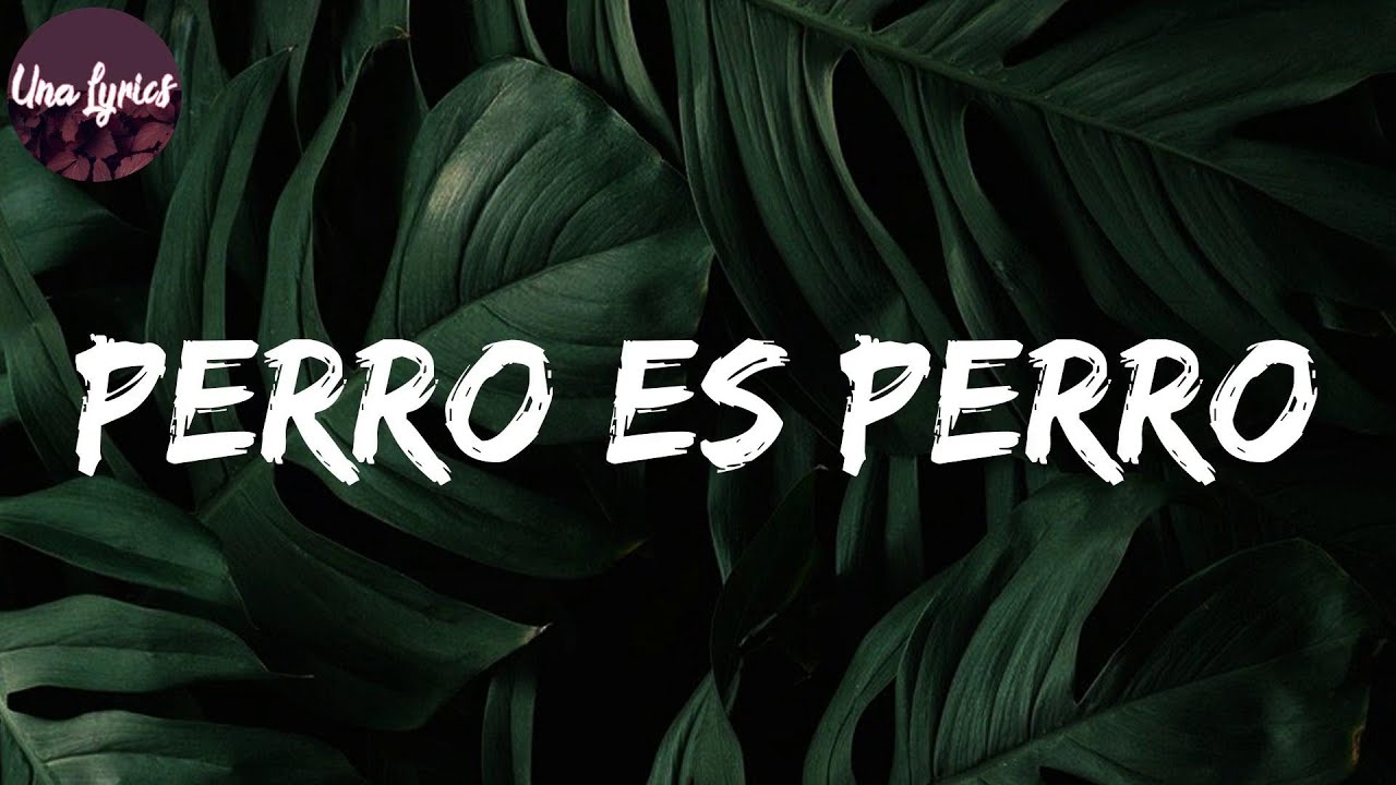𝑷𝒆𝒓𝒓𝒐 𝑬𝒔 𝑷𝒆𝒓𝒓𝒐 (𝑳𝒆𝒕𝒓𝒂) - 𝑷𝒊𝒕𝒊𝒛𝒊𝒐𝒏