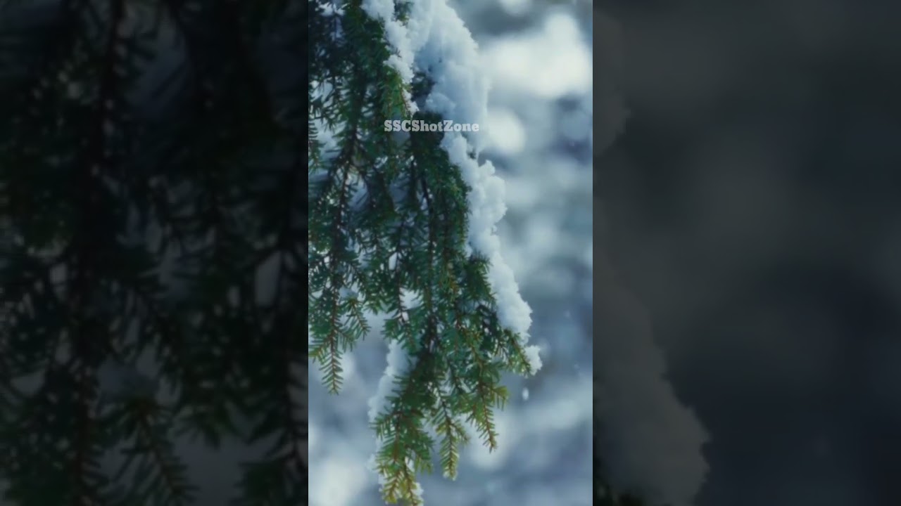 &ldquo;La Ni&ntilde;a Returns! Coldest Winter 2025 in India | Shocking Weather Update 🌨️&rdquo;