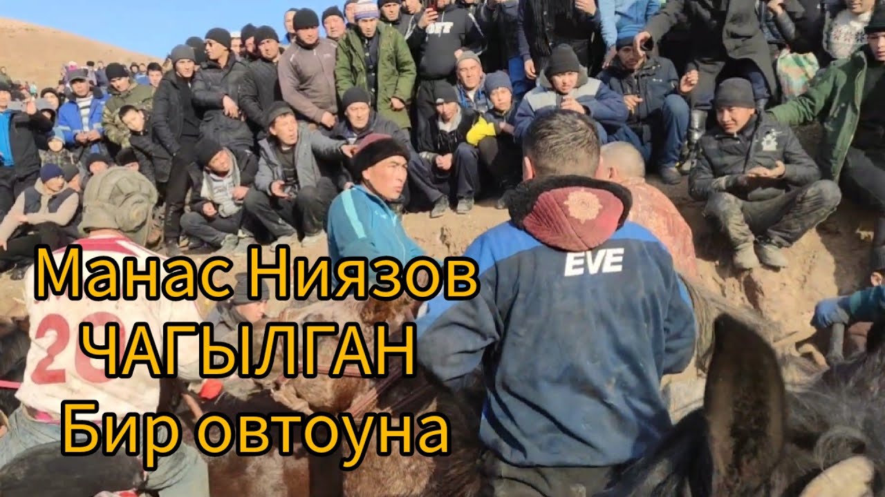 Манас Ниязов ЧАГЫЛГАН ат менен Бир автоунага таштады