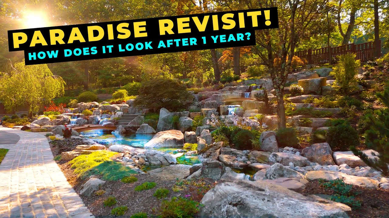 The Most Stunning Water Garden We’ve Ever Built | 1 Year Later