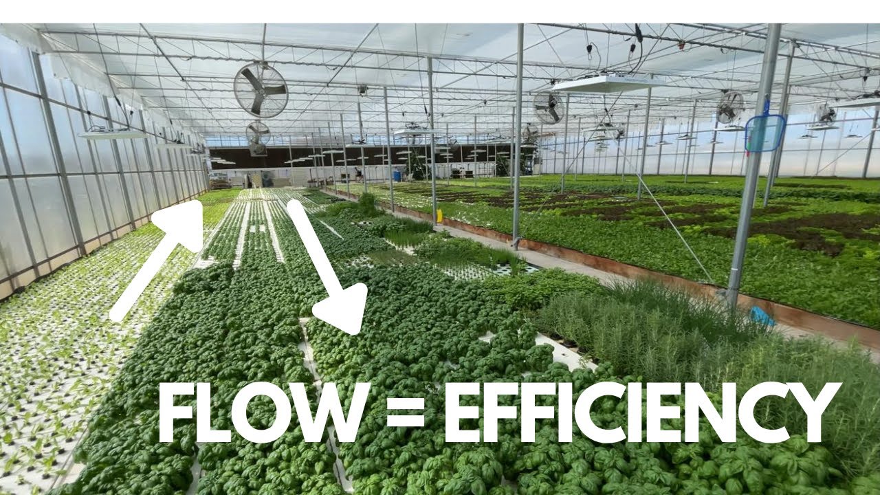 Good Flow = Efficient Growing