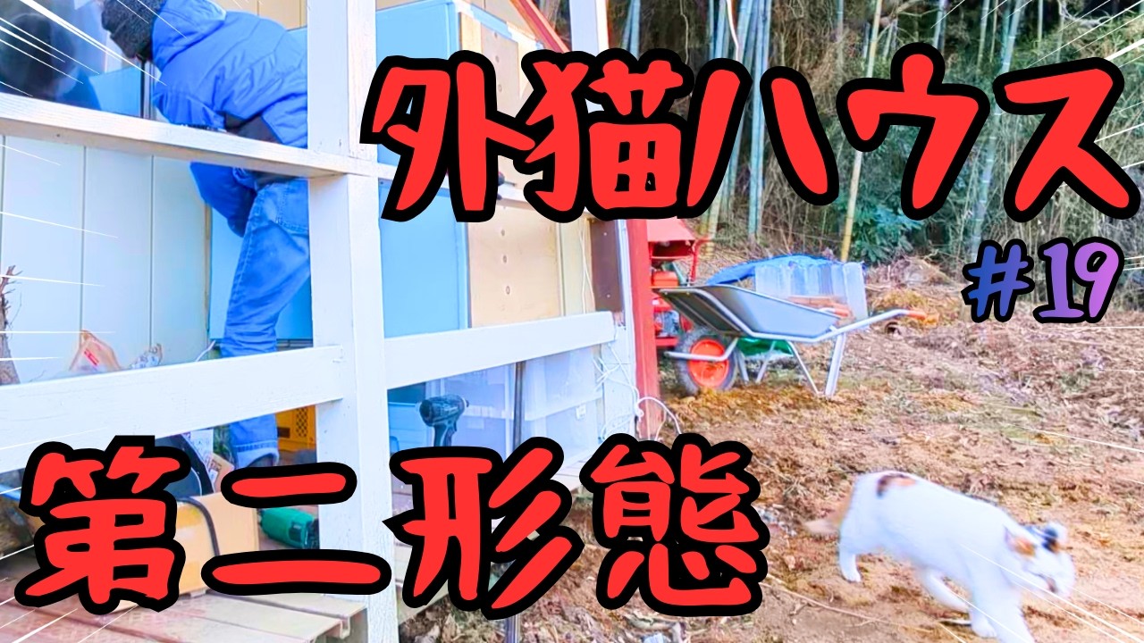 【廃墟の隣に棲む女】 ～愛猫の家出…安心できるお部屋を目指して！猫ハウスを第二形態へ進化させる!!!!～ #19