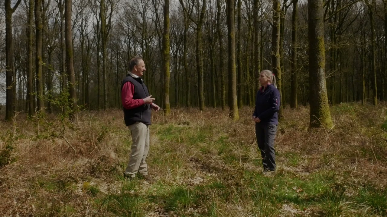 Oak Futures: The Importance of Tree Genetics