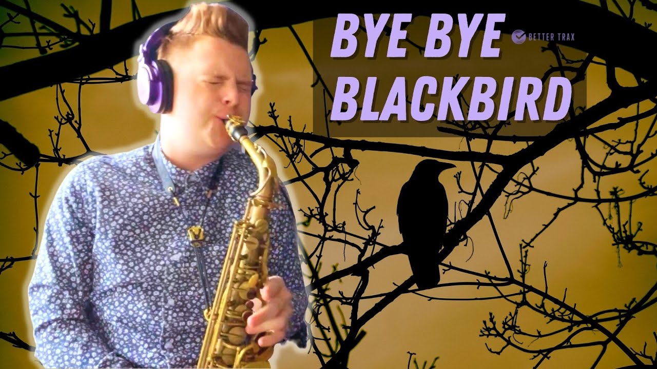 Bye Bye Blackbird - Alto Sax Solo by Alex Hahn