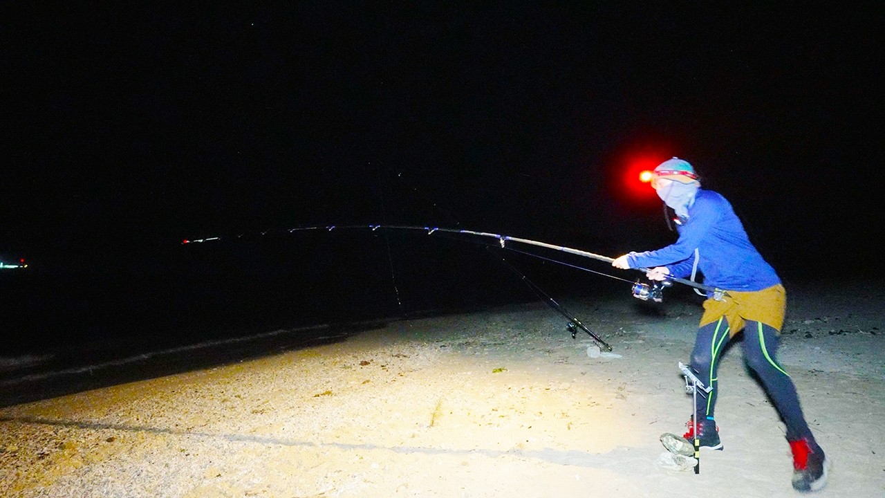 こんな浅い場所が...？夜になると大物の巣窟へと変貌する