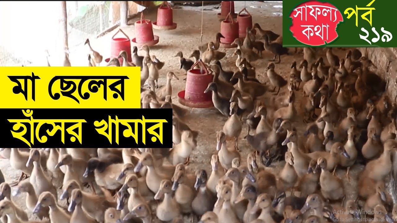 মা ছেলের হাঁসের খামার | Duck Farming in Bangladesh | Safollo Kotha 219