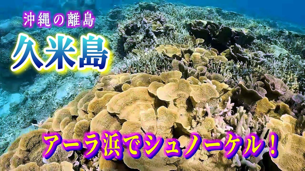 久米島【アーラ浜】で珊瑚礁シュノーケル！Vol.1