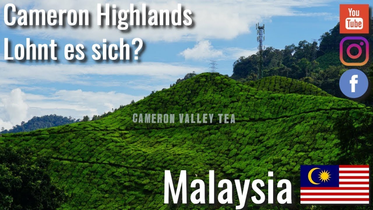 Cameron Highlands - Lohnt es sich?  - MALAYSIA 🇲🇾