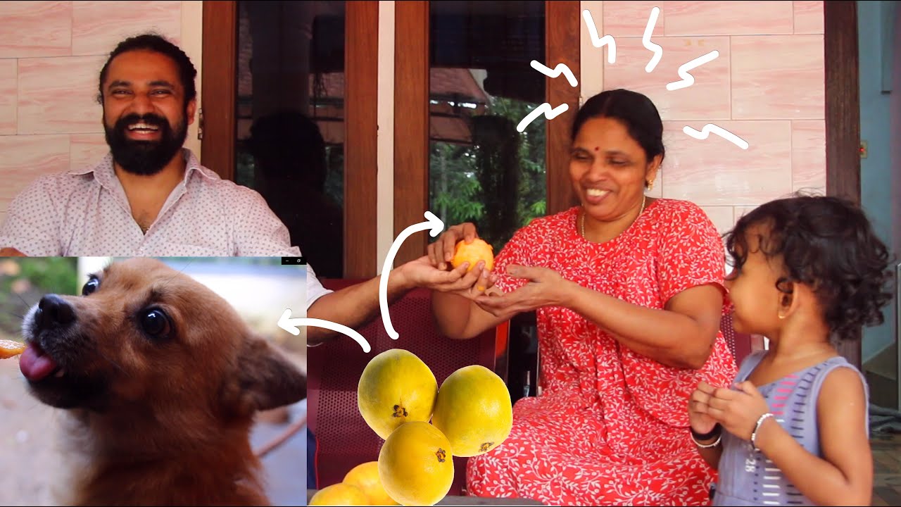 പ്രാങ്ക് വീഡിയോ  | Araza Boi fruit Family Reaction | Pranking Mom