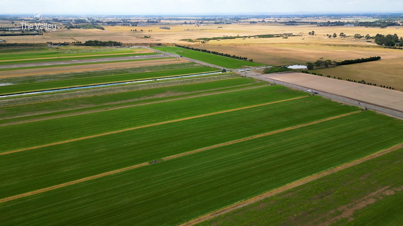 Evergreen Turf - Growing the Grass for The Valley of Tomorrow 🌱