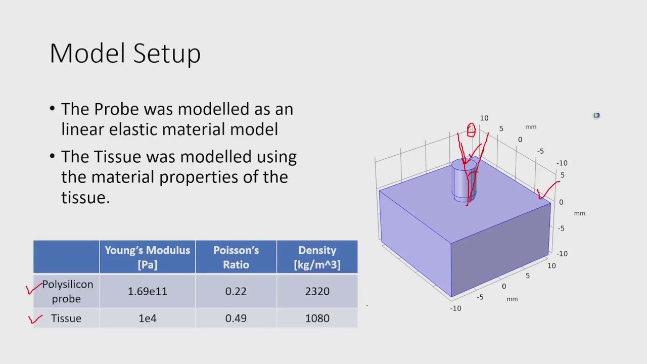 64 Stress Tissue Analysis using COMSOL Multiphysics
