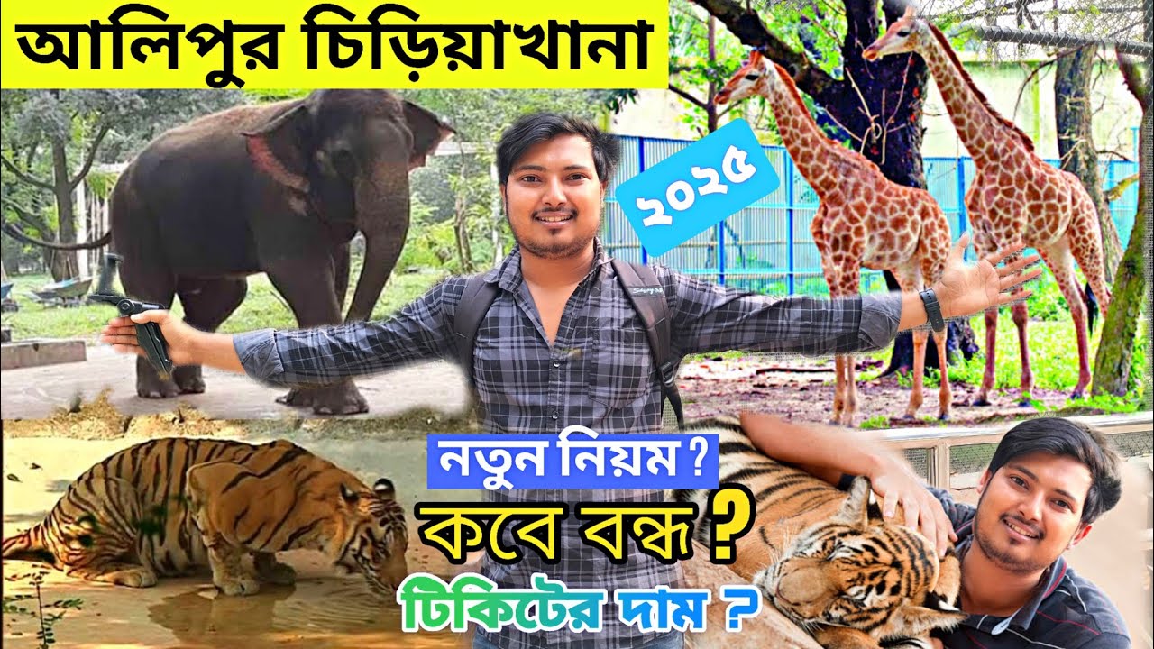 চিড়িয়াখানায় এবার খাঁচার ভিতরে দর্শক আর বাইরে পশুপাখি😍Kolkata Alipore Zoo 2025😍আলিপুর চিড়িয়াখানা