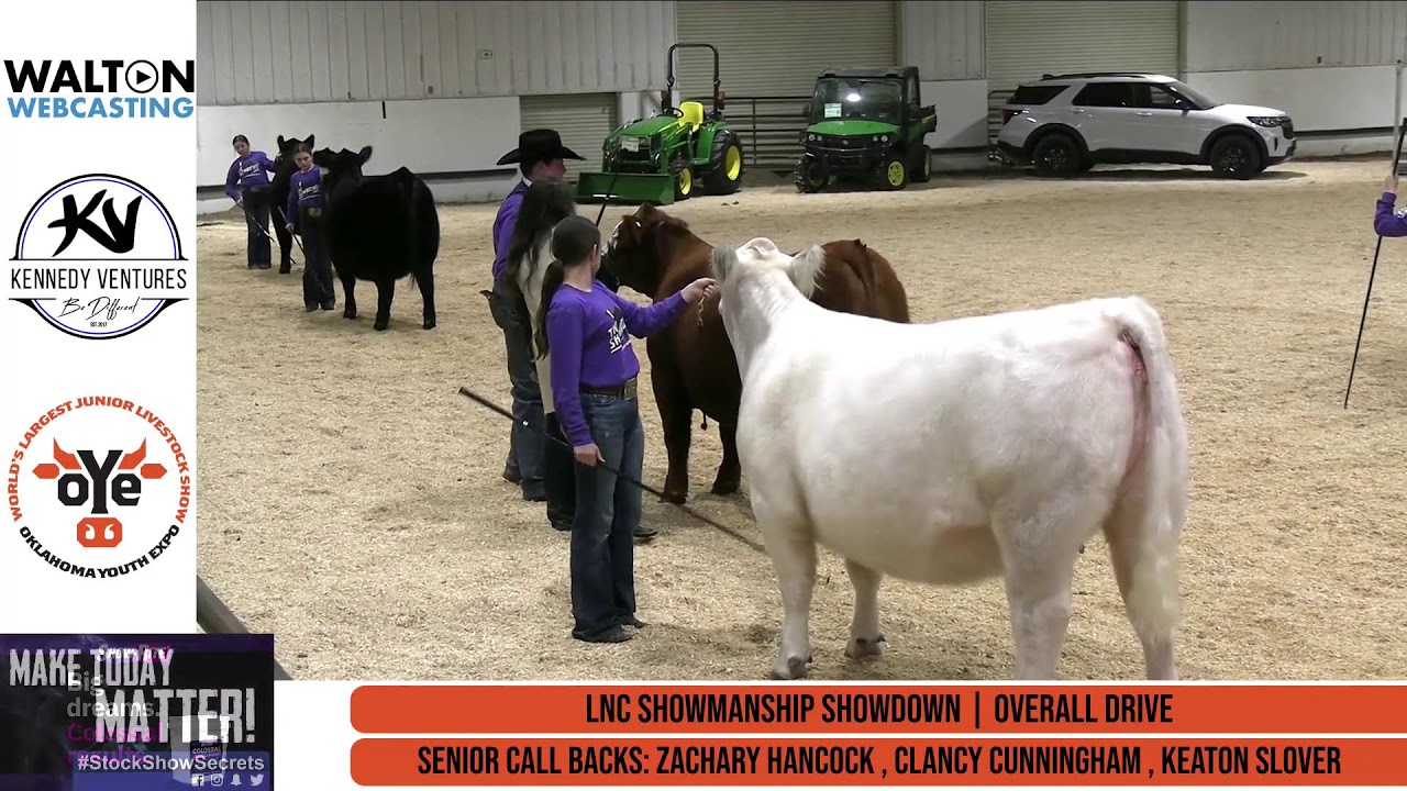 Futurity Heifer Show & Cattle Showmanship - Barn 8 Arena - Mar-13