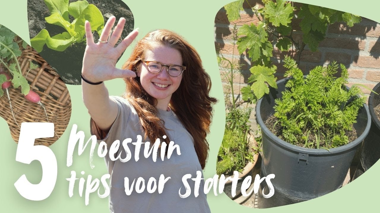 5 moestuin tips voor starters | Hoe combineer ik een moestuin met een druk leven?