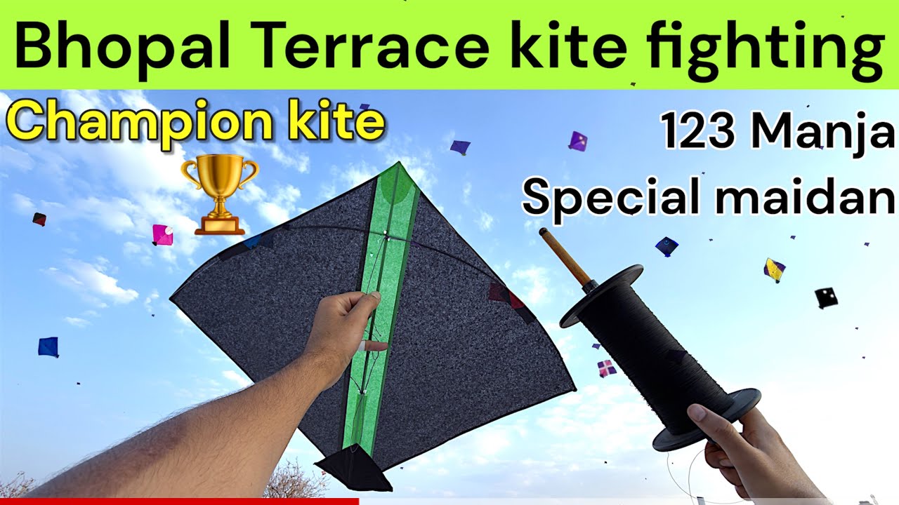 The champion kite | terrace kite fighting | chaat sa patangbaazi #bhopal #kitefighting #kitestore 