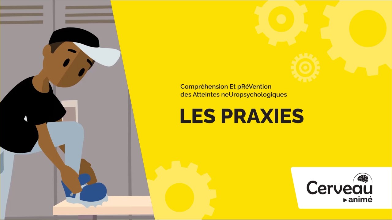 Les praxies - Cerveau animé volet 12-17 ans