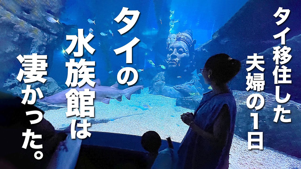 タイに移住した家族のリアルな過ごし方。アジア最大級の水族館は凄かった。【タイ移住】