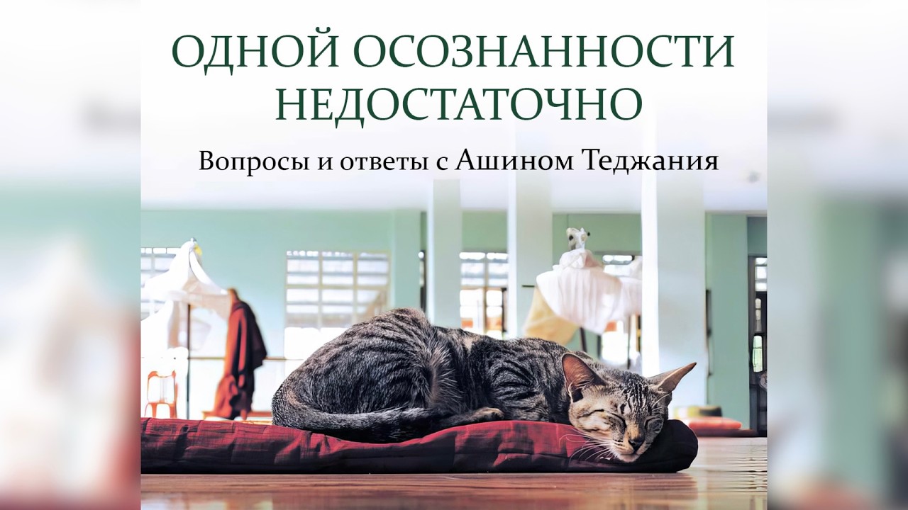 ОДНОЙ ОСОЗНАННОСТИ НЕДОСТАТОЧНО. Вопросы и ответы с Ашином Теджания. (Аудио-книга Тхеравада) 