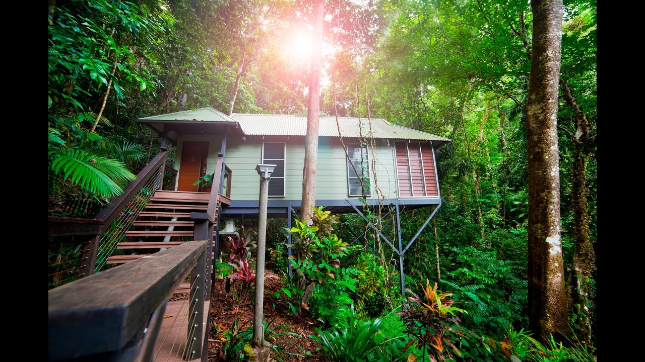 Daintree Eco Lodge, Canopy Bayan