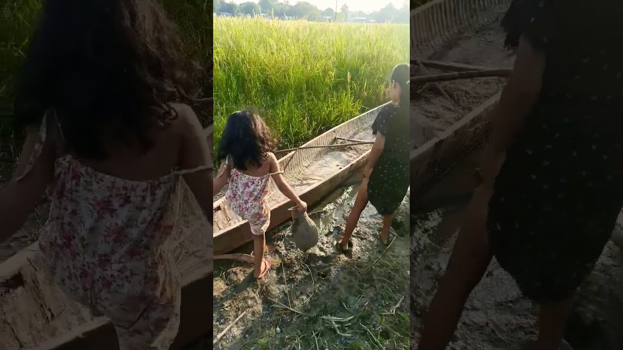 Jakoi khaloi loi