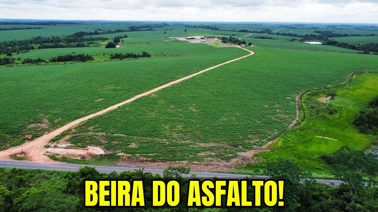 FAZENDA 5.300 HECTARES SANTA FÉ DO TOCANTINS | 3.000 HA DE LAVOURA | BEIRA DO ASFALTO